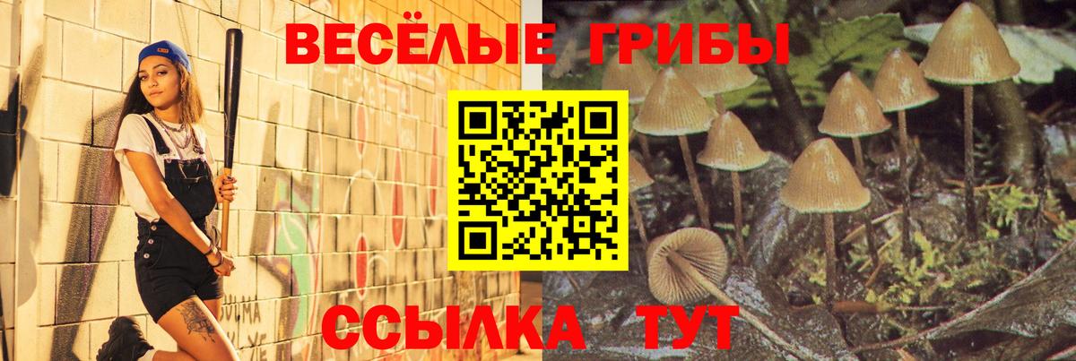 Галлюциногенные грибы мухоморы  Псилоцибиновые грибы GOLDEN TEACHER  Вход с VPN  наркота  Шарыпово 