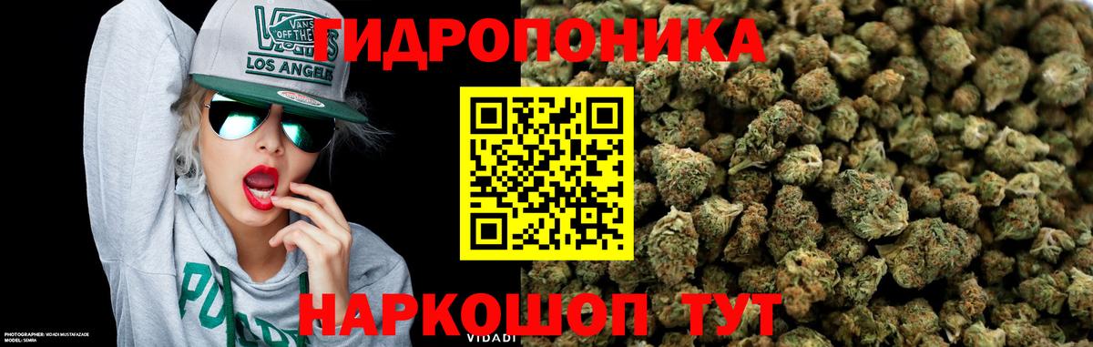 Бошки марихуана индика  Бошки марихуана план  Вход с VPN  Канабис White Widow  Шарыпово  Бошки марихуана Bruce Banner 